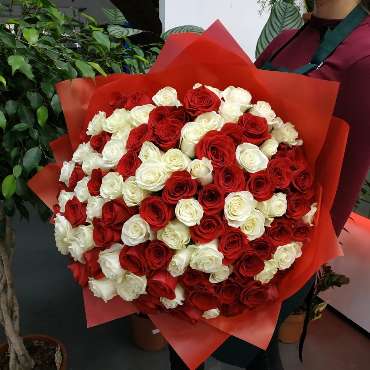 Букет из 101 розы (красные и белые розы) код  76905argl