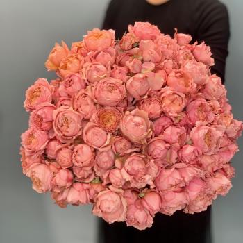 Букет пионовидных кустовых роз «Джульетта»