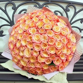 Букет Оранжевые розы Эквадор 101 шт (50 см) №: 134370